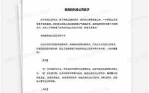 响亮网络公司名字