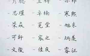 与众不同的斑马宝宝名字