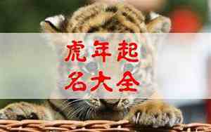 唐姓猪宝宝名字