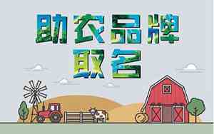 助农公司名字起名