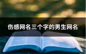 伤感网名三个字