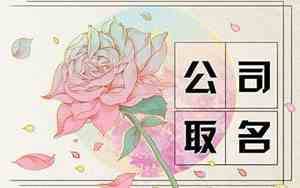 电器公司带米字起名
