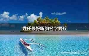 任氏男孩好名字