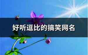 逗比的网名