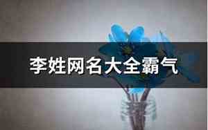 李姓网名