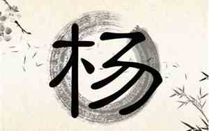 杨宝宝女名字大全