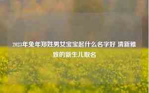 男女宝宝名字兔年