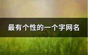 一个字网名