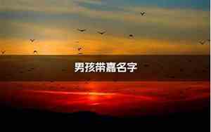带嘉的美好名字