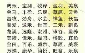 养殖公司名字怎么取