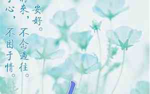 念安好名字