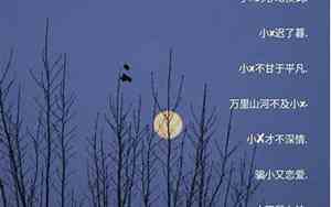 带亮的网名