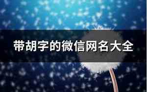 带胡的网名