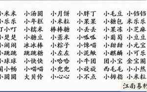 名字大全猪宝宝小名