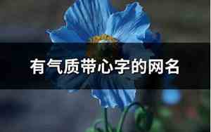 带心字网名