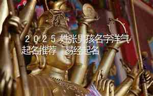 张姓起名公司游戏推荐