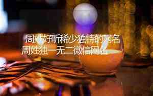 姓周的网名