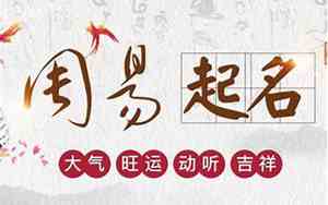 新生儿生辰八字起名公司