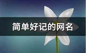 好记的网名