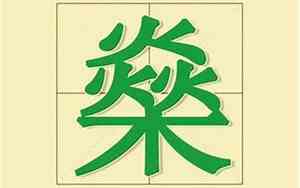 带火木土的公司名字大全