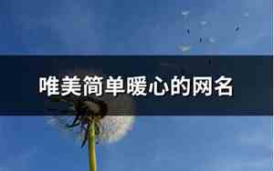 带暖的网名