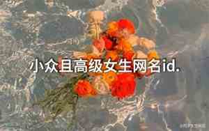 女生网名俩字