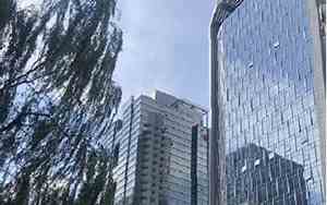 冰岛留学中介公司名字