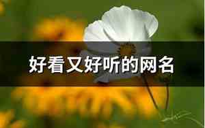 好看好听的网名