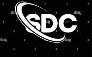 sdc缩写的好听名字