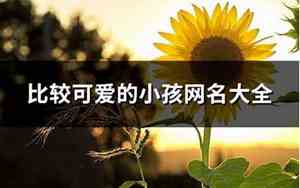 小孩网名大全可爱男