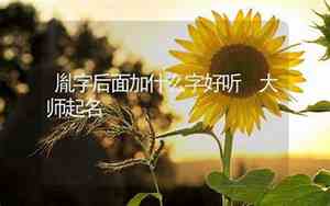 残阳后面加什么字好听