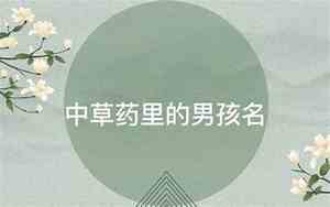 文雅的网名男生