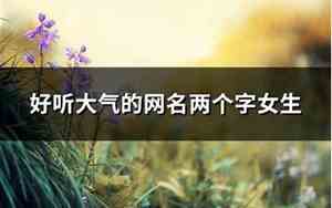 好听大气的网名两个字