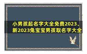 兔宝宝侠客的男孩名字