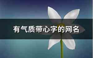 带心网名