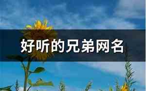 兄弟网名