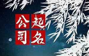 持续发展的公司名字大全
