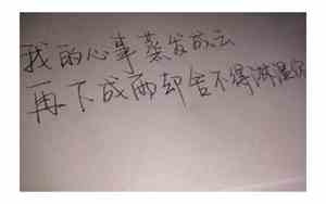 形容看透人心的网名