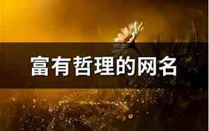 哲理的网名
