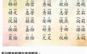 属于木的公司名字
