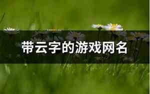 带云丽的网名