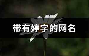 婷字网名