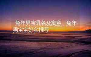兔年男宝宝马姓名字
