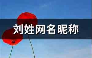 姓刘网名