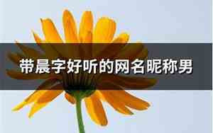 好听的带晨字的网名
