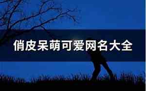 俏皮网名