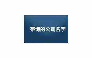 公司起名带博的