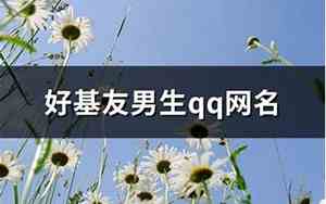 基友网名