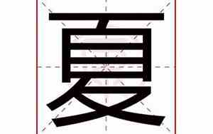 关于夏的公司名字