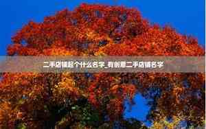 二手店铺好名字怎么起